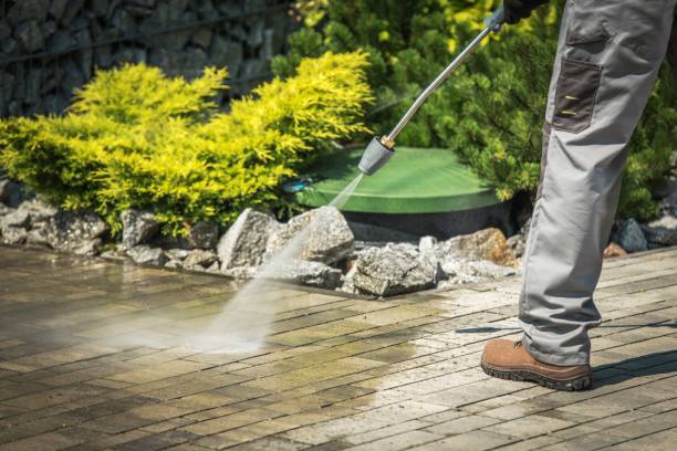 Best Animal Enclosure Cleaning  in Fort Lee, NJ